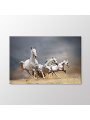 Arty Tablo Beyaz Atlar Tablo