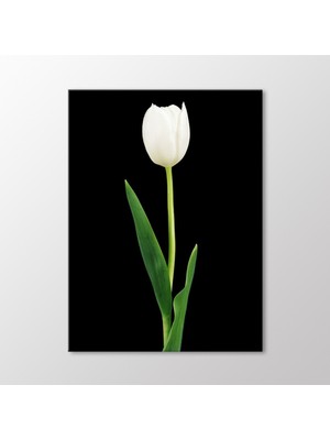 Arty Tablo Beyaz Lale Tablo