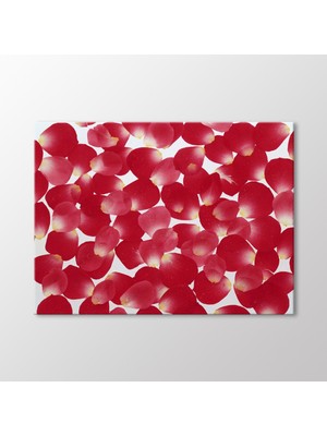 Gül Yaprakları Tablo