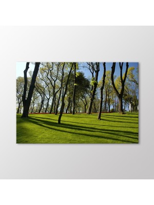 Arty Tablo Ağaçlar Tablo