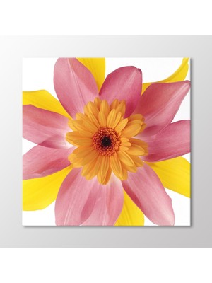 Arty Tablo Krizantem ve Yapraklar Tablo