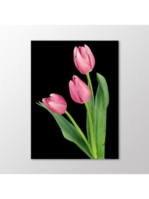 Arty Tablo Pembe Laleler Tablo