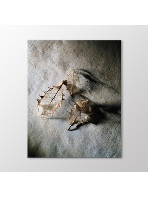 Arty Tablo Kurumuş Yapraklar Tablo