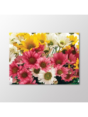 Arty Tablo Krizantem Buketi Tablo