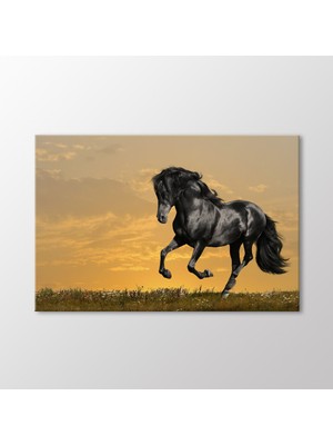 Arty Tablo Siyah At Tablo