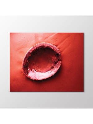 Arty Tablo Istiridye Kabuğu Tablo