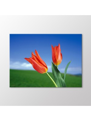 Arty Tablo Kırmızı Laleler Tablo