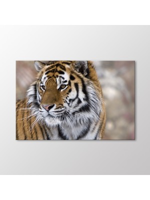 Arty Tablo Kaplan Tablo