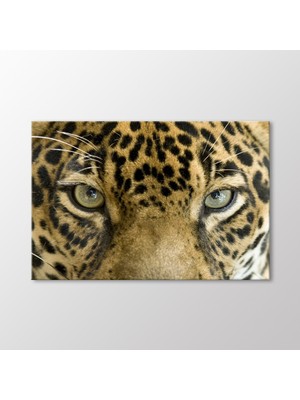 Arty Tablo Leopar Tablo