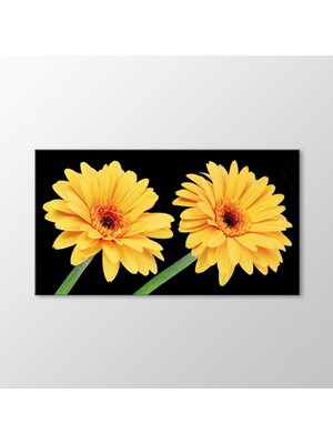 Arty Tablo Sarı Krizantemler Tablo