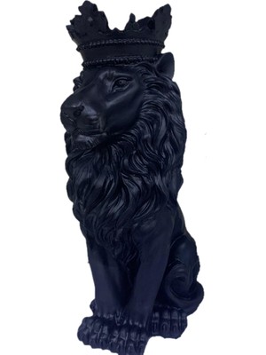 By Ari Aslan Kral Biblo