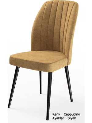 Canisa Concept Platinum Serisi Geniş Oturum Alanlı 1.sınıf 4 Adet Sandalye Ayaklar Siyah