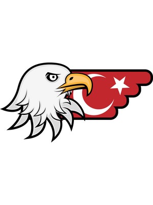 Sticker Fabrikası Türk Bayrağı ve Kartal Sticker 00727