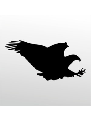 Technopa Folyo Sticker Kartal 112