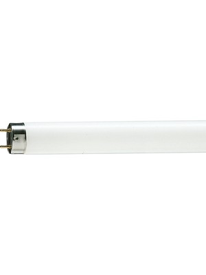 Philips Tl-D 36W/865 120 cm