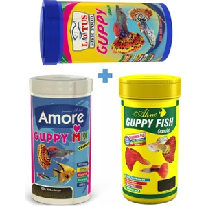 Amore + Ahm + Lotus Guppy Granulat 3X250ML Kutu Akvaryum Balık Yemi