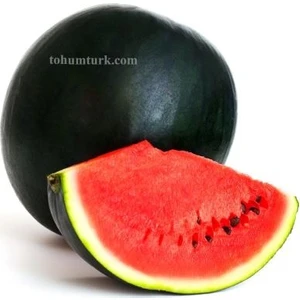 20 Adet Büyük Iri Boy Siyah Karpuz Tohumu Kara Bal Karpuz Tohumu