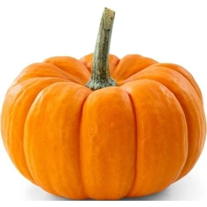 Bal Kabağı Tohumu 20 Adet Kabak Tohumu