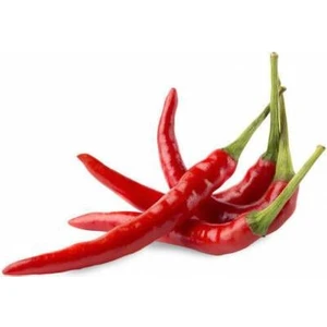 Şili Biberi Tohumu Çok Acı Chili Biberi Tohumu 25 Adet Tohum