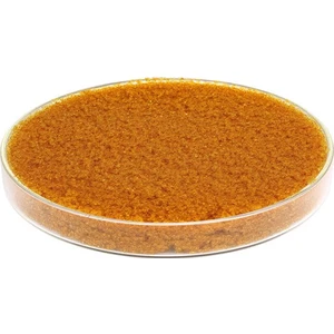 Katyonik Reçine 1 Lt.