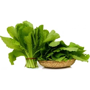 100 Adet Tohum Yerli Roka Tohumu Roka Tohumu