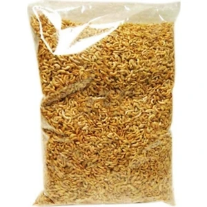 Kurutulmuş Karides (Gammarus) 1 kg Maxisol