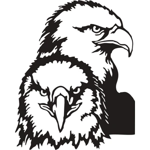 Sticker Fabrikası Kara Kartal Beşiktaş Bjk 1903 Şahin Sticker 00630