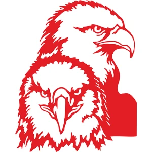 Sticker Fabrikası Kara Kartal Beşiktaş Bjk 1903 Şahin Sticker 00630