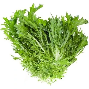 Ata Tohumculuk 10 Adet Tohum Hindiba Hindibağı Radika Otu Doğal Dağ Hindiba Tohumu Sürpriz Hediye Tohumla Gönderili