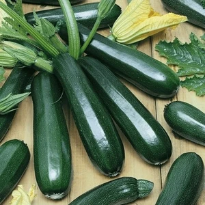 Ata Tohumculuk 75 Adet Tohum Eko Paket Kara Kolsuz Kabak Tohumu Lezzetli Kabak