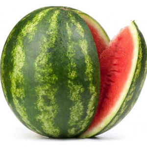 Ata Tohumculuk 15 Adet Tohum Karpuz Tohumu Crimson Sweet Karpuz Tohumu