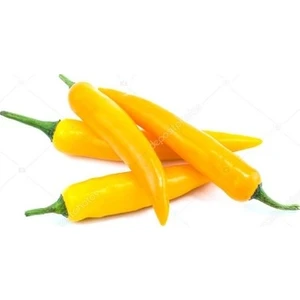 Ata Tohumculuk 10 Adet Tohum Acı Organik Golden Cayenne Biber Tohumu Sarı Sivri Biber Tohumu