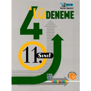 Yayın Denizi Yayınları 11.Sınıf 4 lü Deneme