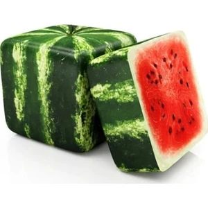 Serdar Çam Tohumculuk Nadir Ithal Uzak Doğu Küp Karpuz Tohumu Ekim Seti 5 Tohum Karpuz Tohumu Saksı Toprak Kombin