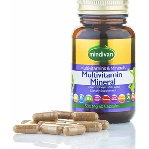 Multivitamin Mineral 60 Kapsül
