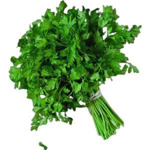 Maydanoz Tohumu (Ince Yaprak) 25 gr Aromatik Kokulu