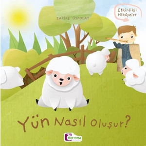 Yün Nasıl Oluşur - Zarife Üspolat