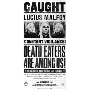 Warner Bros Harry Potter  Duvar Posteri Lucius Malfoy 50X70 cm