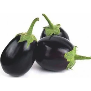 Serdar Çam Tohumculuk Iri Topan Dolmalık Patlıcan Tohumu Ekim Seti 10 Tohum Saksı Toprak Kombin