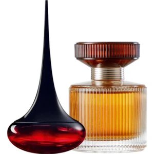 Amber Elixir Edp 50 ml + Love Potion Edp 50 ml Kadın Parfüm Seti