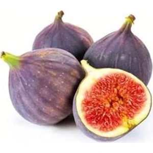 20'li Siyah İncir Tohumu