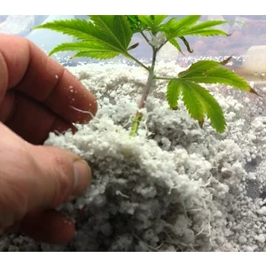 3 lt Perliti Tarımsal Perlit Köklendirme Perliti Çimlendirme Perliti Topraksız Tarım Perliti