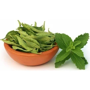 Şeker Otu Tohumu Stevia Tohumu 20 Adet Tohum