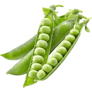 Serdar Çam Tohumculuk Geleneksel Bezelye Tohumu