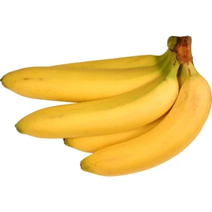 Evve Bahçe Tüplü Bodur Muz Fidanı Musa Cavendish (Sınırlı Stok)