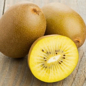 Evve Bahçe Tüplü Bol Verimli Gold Kivi (Altın Kivi) Fidanı (1 Dişi + 1 Erkek)