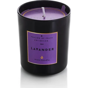 Moıs Candle Siyah Lavanta Kokulu Kap Bardak Mum 8 cm