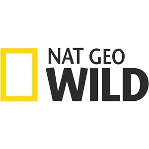 Nat Geo Wıld National Geographic Folyo Kesim Sticker ''off Road Stickeroto Araç Motosiklet National Geographic Sticker''