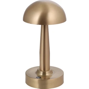 Avonnı ML-64004-E Eskitme Kaplama Masa Lambası LED Metal Pleksi 12 cm
