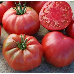 Murat Tohumculuk Murat Tohum Eko Paket Iri Mis Kokulu Köy Domatesi Tohumu Ekim Seti 120 Adet Tohum